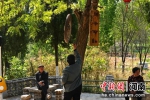 汝州：民俗文化带热乡村旅游 - 中国新闻社河南分社