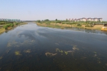 索须河上蛙声一片——郑州黄河以南、四环以北 索须河建起一道生态绿廊 - 河南一百度