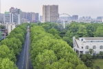 【大河网景】“我们的城市像花园” 郑州今年计划新增绿地1000万平方米 - 河南一百度