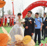 幸福来敲门 宜阳10对青年举行集体婚礼 - 中国新闻社河南分社