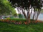 停车更方便！郑州人民公园西门拆墙透绿后新装亮相 - 河南一百度