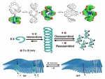 朱俊彦课题组在Angewandte Chemie International Edition上发表研究成果 - 河南大学