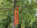 校园里飘扬起红绸带 林草间矗立起黄标牌——防火于未“燃”，郑大保卫人在行动（图） - 郑州大学