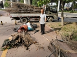 给力！近300万平米花草“洗脸” 枯枝垃圾废弃物“请走开” - 河南一百度