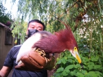 62只“萌宝宝”重回大自然!郑州又放生一批被救护的野生动物 - 河南一百度