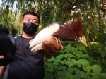 62只“萌宝宝”重回大自然!郑州又放生一批被救护的野生动物 - 河南一百度