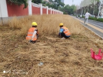 后续：郑州街头近千平米枯草 今早已有工人清理 - 河南一百度