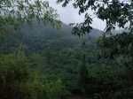 黄淮之间局部仍然有暴雨 今天气温较凉，注意保暖 - 河南一百度