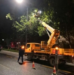 营造安全出行环境！郑州对遮挡路灯、信号灯的5910株行道树进行“整容” - 河南一百度