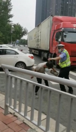 郑州一大货车闯限行被处罚，司机突然情绪激动对交警使出“铁头功” - 河南一百度