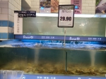 郑州紧急排查厄瓜多尔产冻南美白虾，记者实探4家商超 - 河南一百度