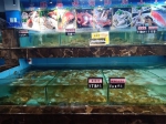部分厄瓜多尔产冻南美白虾“立即停售”，郑州市面上的虾还能吃吗? - 河南一百度