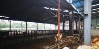荥阳一奶牛厂被指污染严重 环保部门：环评合格 - 河南一百度