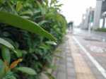 周末河南再迎大范围降雨 东南部局部预计有暴雨 - 河南一百度