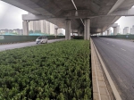 郑州“大四环”新进展：大河路地面主线道路试通车 - 河南一百度