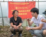 在潢川县谈店乡万营村向村民讲解羊肚菌种植技术.jpg - 教育厅