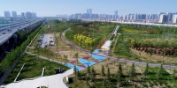 跻身国家生态园林城市，郑州园林绿化脚步不停歇 - 河南一百度