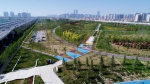 跻身国家生态园林城市，郑州园林绿化脚步不停歇 - 河南一百度