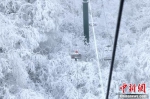 河南伏牛山现罕见日晕彩虹雪景同框奇观 - 中国新闻社河南分社