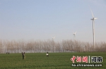 河南省延津县农民在麦田里劳作，为小麦丰收打下坚实基础 邓小强摄 - 中国新闻社河南分社