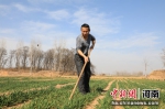 河南省延津县农民在麦田里劳作，为小麦丰收打下坚实基础。 邓小强 摄 - 中国新闻社河南分社
