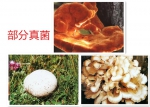 中国银联加入陈康林药用真菌体系为肿瘤患者担保，助力大健康 - 郑州新闻热线