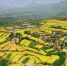 图为王屋山山间层层叠叠的白菜花。　李超庆 摄 - 中国新闻社河南分社