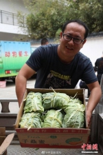 大象、河马吃的粽子有多大？一个重约1斤 - 中国新闻社河南分社