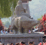　图为函谷关广场上的老子骑青牛雕像 - 中国新闻社河南分社