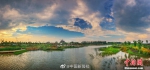 大片！这家湿地公园简直美爆了 - 中国新闻社河南分社