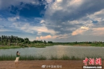 大片！这家湿地公园简直美爆了 - 中国新闻社河南分社
