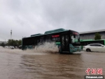 　图为郑州市区花园路一辆公交车经过积水路段。　李贵刚 摄 - 中国新闻社河南分社