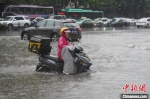 图为一名女骑手冒雨坚持工作。　阚力 摄 - 中国新闻社河南分社