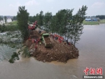 河南卫河堤防决口处封堵持续进行中 - 中国新闻社河南分社