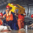 　受强降雨影响，郑州地铁内当前仍有大量积水。7月26日晚10时，武汉消防援豫队伍根据指挥部要求抢排地铁站隧道内积水，将配电箱、抽水泵、水带等工具送进隧道内，合理组合携带的移动排水泵、远程排水系统和大动率发电机组等工具，采取接力方式开展作业。目前，排涝工作仍持续进行。图为武汉消防员抢排郑州地铁积水。艾诗洋 摄 - 中国新闻社河南分社