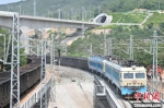 图为8月16日，满载着煤炭的列车穿行在太焦铁路线上。　王玮 摄 - 中国新闻社河南分社