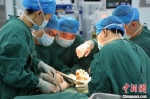 　资料图：医院专家为患者做手术。 李桃 摄 - 中国新闻社河南分社