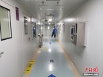 　8月19日，河南郑州，郑州人民医院检测实验室内部的清洁区。据介绍，该实验室日均检测标本超万份，高峰期日检测标本达2.3万份。 中新社记者 韩章云 摄 - 中国新闻社河南分社