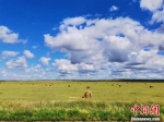 一组美图带你看初秋呼伦贝尔草原的风景 - 中国新闻社河南分社