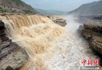 黄河晋陕峡谷水量增大 壶口瀑布再现壮美瀑布群 - 中国新闻社河南分社