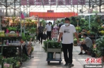 　图为郑州陈砦花卉市场内的过道里人来人往。　李明明 摄 - 中国新闻社河南分社