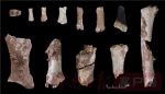 重大发现！ 鲁山仙人洞发现河南最早的现代人头骨化石 - 河南一百度