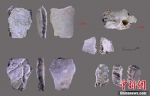 河南发现距今3.2万年人类头骨化石 - 中国新闻社河南分社