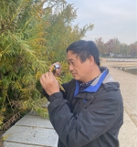 郑州天健湖公园现“加拿大一枝黄花” - 河南一百度