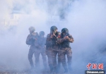图为侦察队员利用烟雾进行搜索训练。　蔡霖伟 摄 - 中国新闻社河南分社