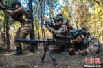 　图为侦察队员在山地密林之中开展小组战术训练。　蔡霖伟 摄 - 中国新闻社河南分社