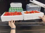 忧心！买6斤变4斤！记者实测郑开大道路边买草莓，5家商贩中4家严重缺斤少两 - 河南一百度