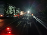 大树被刮倒在京港澳高速上，高速交警深夜紧急排险 - 河南一百度