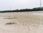 贾鲁河少量水域出现捕鱼网 - 河南一百度