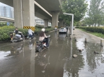 郑州一小区门前道路污水横流20多天？ - 河南一百度